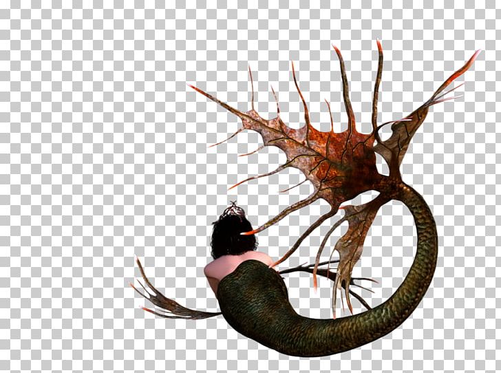 Tail Invertebrate Legendary Creature Fish PNG, Clipart, Creative Watermark, Fish, Invertebrate, Legendary Creature, Mythical Creature Free PNG Download