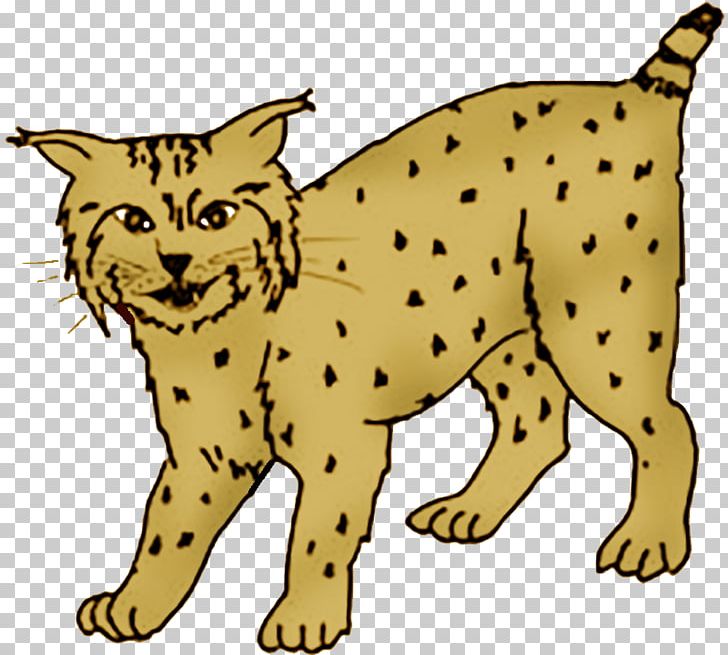 Whiskers Wildcat Cheetah Dog PNG, Clipart, Animals, Big Cat, Big Cats, Breed, Canidae Free PNG Download