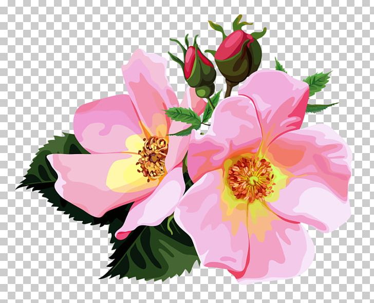 Flower Bouquet Rose PNG, Clipart, Annual Plant, Bouquet, Cut Flowers, Encapsulated Postscript, Floral Design Free PNG Download