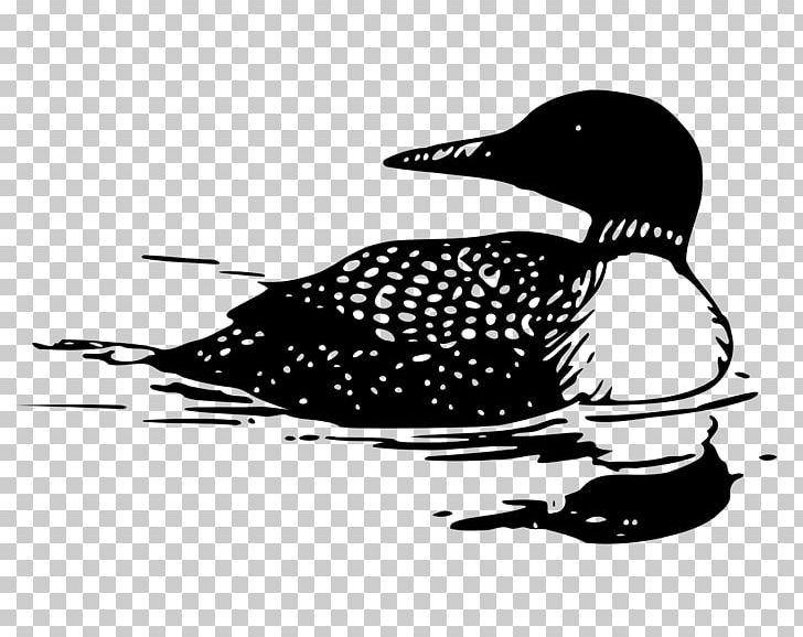 Common Loon PNG, Clipart, Art, Beak, Bird, Black And White, Common Loon Free PNG Download