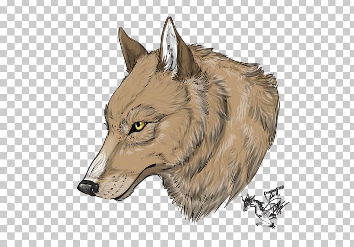 Gray Wolf Coyote Jackal Fauna Snout PNG, Clipart, Carnivoran, Coyote, Dog Like Mammal, Fauna, Fur Free PNG Download