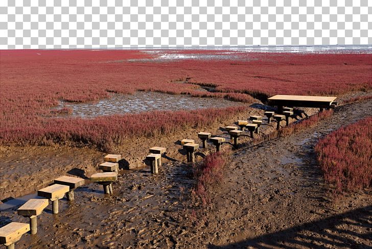Red Beach Panjin Landscape PNG, Clipart, Agriculture, Attractions, Beach, Farm, Fig Free PNG Download