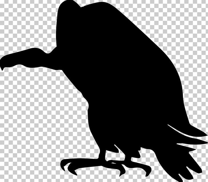 Turkey Vulture PNG, Clipart, Animals, Artwork, Beak, Bird, Black Free PNG Download
