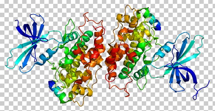 GSK3B GSK-3 Glycogen Synthase Kinase Enzyme Protein PNG, Clipart, 3 B, Art, Biology, Enzyme, Glycogen Synthase Free PNG Download