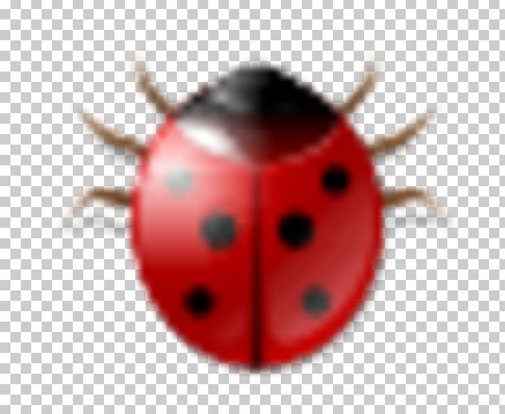 Beetle Lady Bird PNG, Clipart, Animals, Arthropod, Beetle, Bug, Insect Free PNG Download