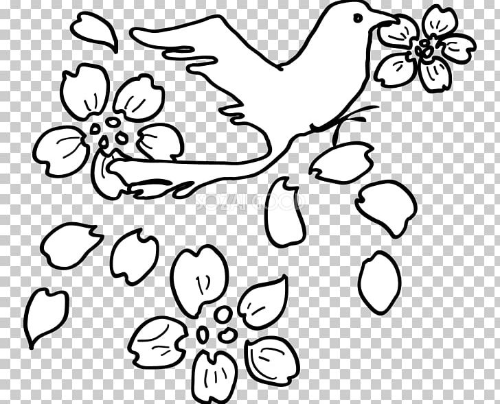 Black And White Visual Arts PNG, Clipart, Angle, Area, Art, Bird, Black Free PNG Download