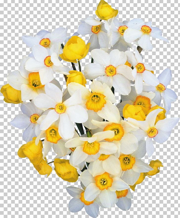 Flower Daffodil PNG, Clipart, Amaryllis Family, Clip Art, Computer Icons, Cut Flowers, Daffodil Free PNG Download