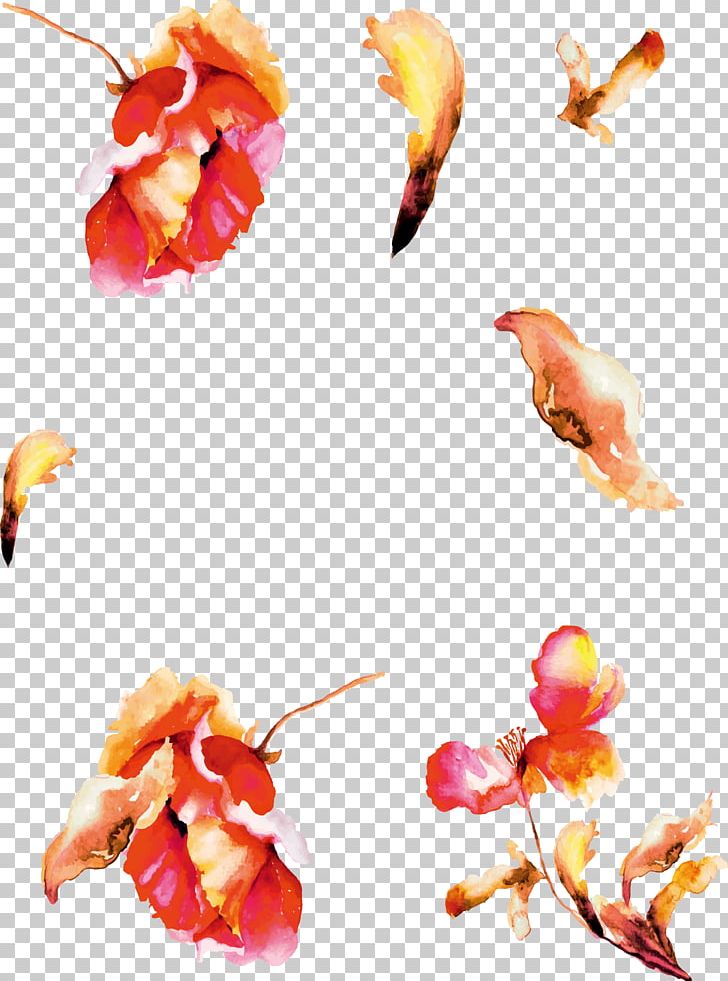 Petal Flower Wedding Kilifi PNG, Clipart, Fiery Red, Flowers, Flowers Vector, Flower Vector, Fruit Free PNG Download