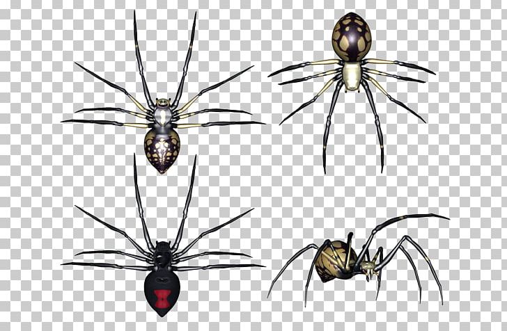 Barn Spider Arthropod PNG, Clipart, Angulate Orbweavers, Arachnid, Araneus, Arthropod, Barn Spider Free PNG Download