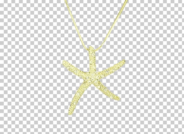 Charms & Pendants Starfish Necklace Body Jewellery PNG, Clipart, Body Jewellery, Body Jewelry, Charms Pendants, Invertebrate, Jewellery Free PNG Download