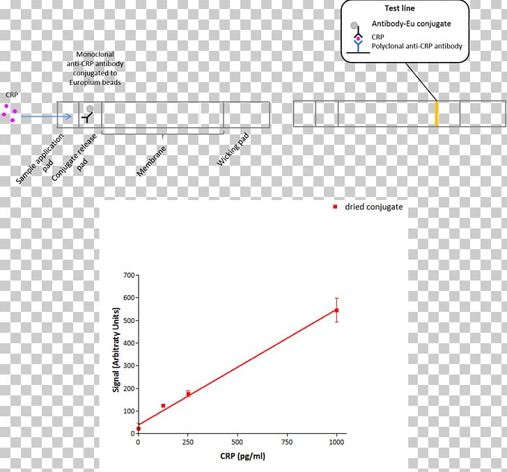 Document Line Angle PNG, Clipart, Analyte, Angle, Area, Art, Diagram Free PNG Download