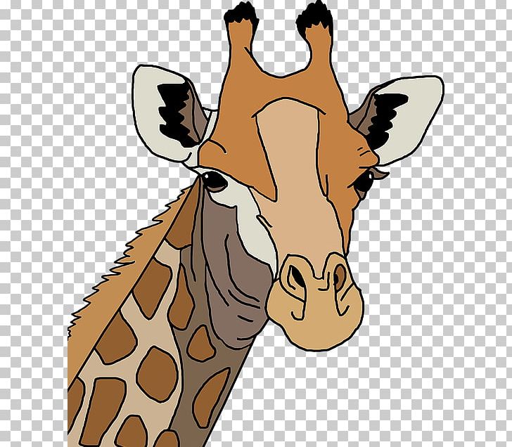 Northern Giraffe Leopard Giraffe Family T-shirt Drawing PNG, Clipart, Animal, Avatar, Avatars, Cartoon, Color Free PNG Download