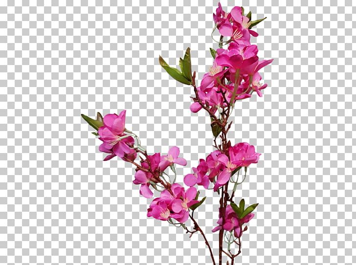 Cut Flowers Floral Design Flowering Plant PNG, Clipart, Blossom, Branch, Cut Flowers, Flora, Floral Design Free PNG Download