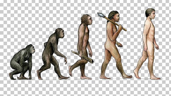 Earth Tobias Fxfcnke Homo Sapiens Evolution Male PNG, Clipart, Angry Man, Bill, Business Man, Cartoon, Changing Free PNG Download