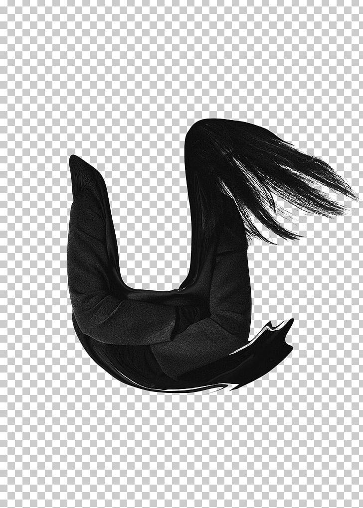 Feather Product Design Shoe Font PNG, Clipart, Black, Black M, Feather, Fur, Neck Free PNG Download