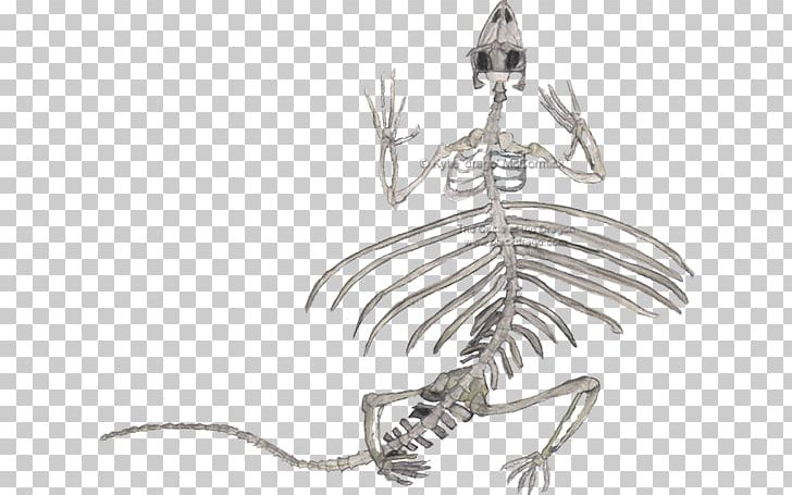 Lizard Reptile Human Skeleton Draco Volans PNG, Clipart, Anatomy, Animals, Arboreal Locomotion, Black And White, Body Jewelry Free PNG Download