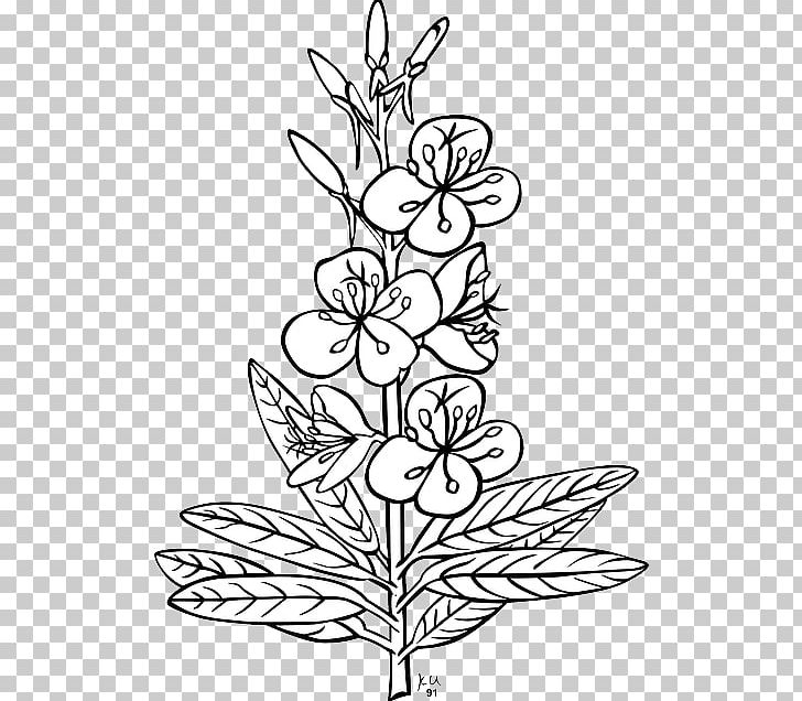 White Leaf Branch PNG, Clipart, Art, Black, Black And White, Branch, Coloring Book Free PNG Download