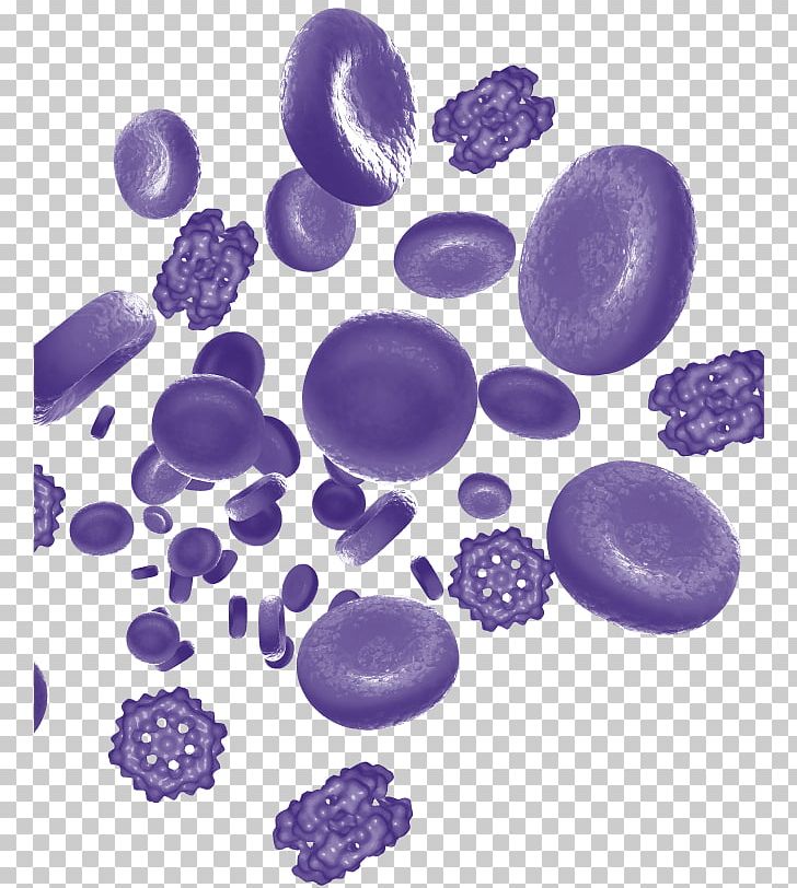 Product Design Organism Purple PNG, Clipart, Blood, Lilac, Organism, Purple, Violet Free PNG Download