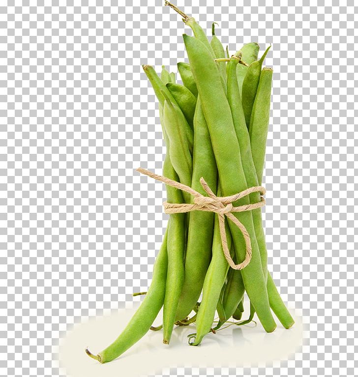 Snap Pea Common Bean Vegetarian Cuisine Green Bean Legume PNG, Clipart, Asparagus, Bean, Blackeyed Pea, Broad Bean, Color Free PNG Download