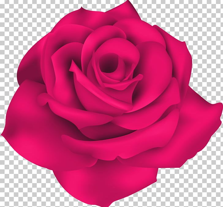 Blue Rose Flower PNG, Clipart, Blue, Blue Rose, China Rose, Clip Art, Closeup Free PNG Download