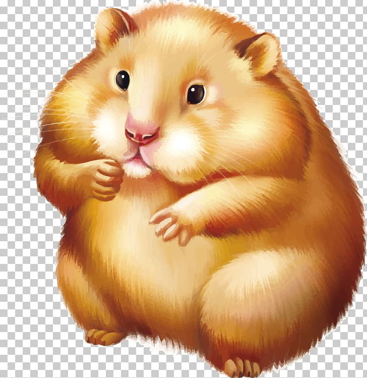 Golden Hamster Gerbil Mouse Stock Photography PNG, Clipart, Animals, Art, Dormouse, Fauna, Gerbil Free PNG Download