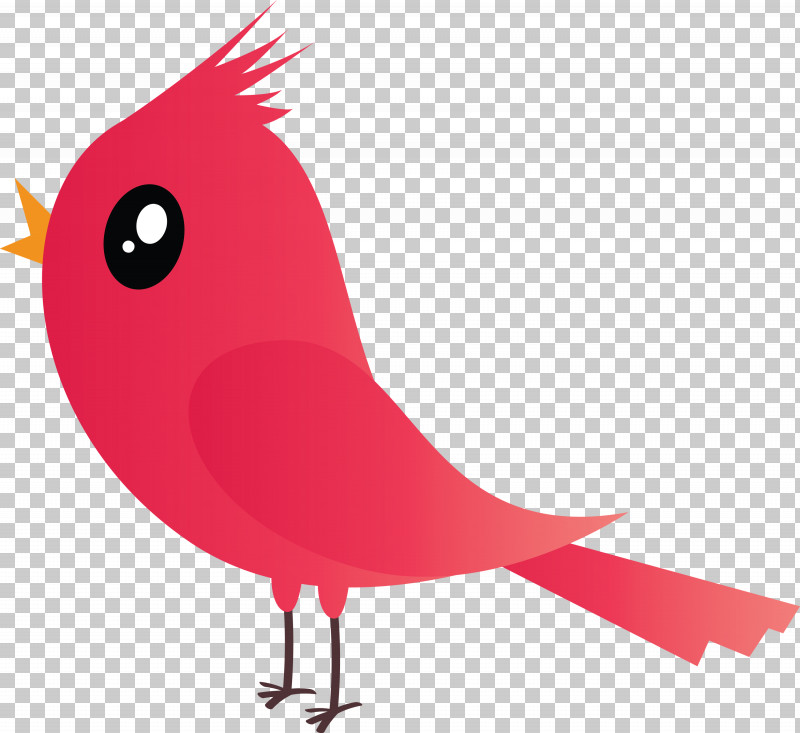 Bird Cardinal Red Beak Pink PNG, Clipart, Beak, Bird, Cardinal, Cartoon, Cartoon Bird Free PNG Download