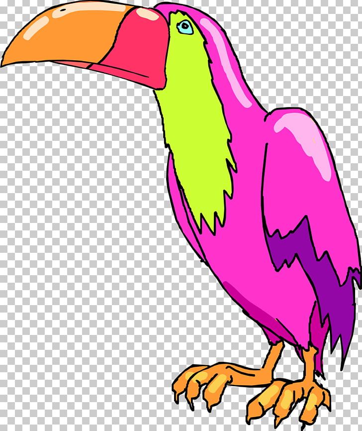 Beak Wildlife Animal Chicken As Food PNG, Clipart, Animal, Animal Figure, Artwork, Beak, Bird Free PNG Download