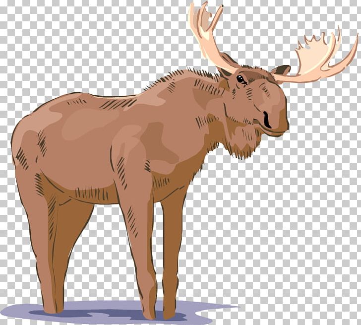 Moose Free Content PNG, Clipart, Antler, Birthday Moose, Blog, Cartoon, Cattle Like Mammal Free PNG Download