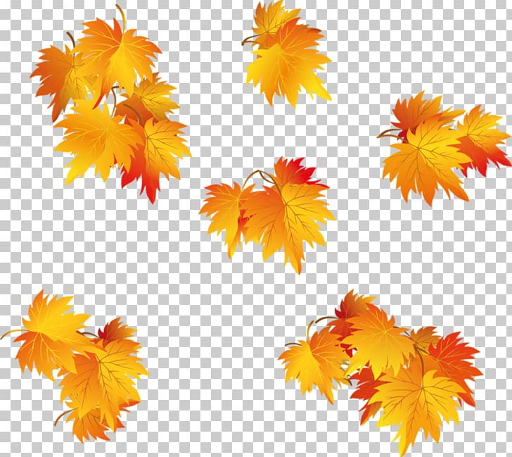 Leaf Autumn PNG, Clipart, Autumn, Autumn Leaf Color, Clip Art, Drawing, Encapsulated Postscript Free PNG Download