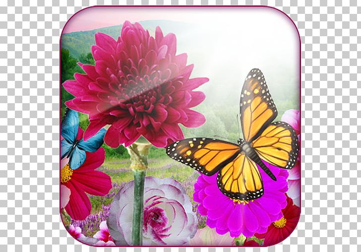 Monarch Butterfly Android Papasan Chair Flower PNG, Clipart, Android, App Store, Brush Footed Butterfly, Butterfly, Cranford Florist Gifts Llc Free PNG Download