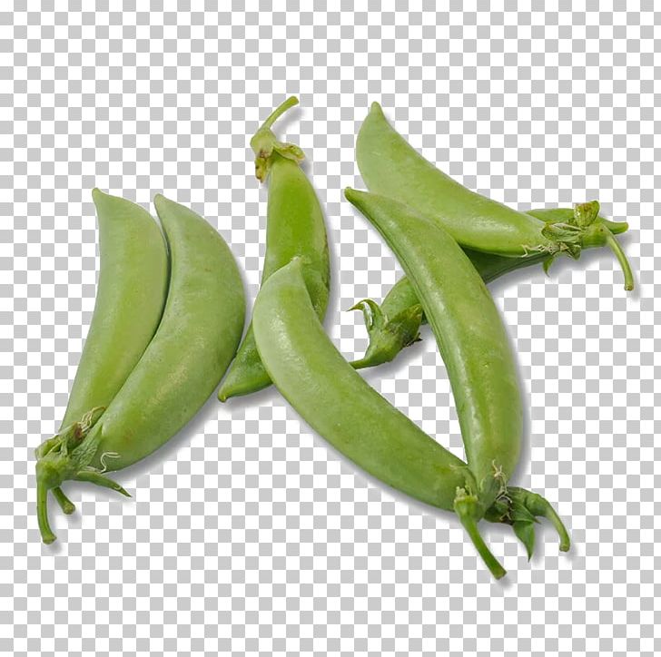Yardlong Bean Snap Pea Vegetable Common Bean PNG, Clipart, Bean, Commodity, Common Bean, Cowpea, Ervilha Petit Pois Free PNG Download