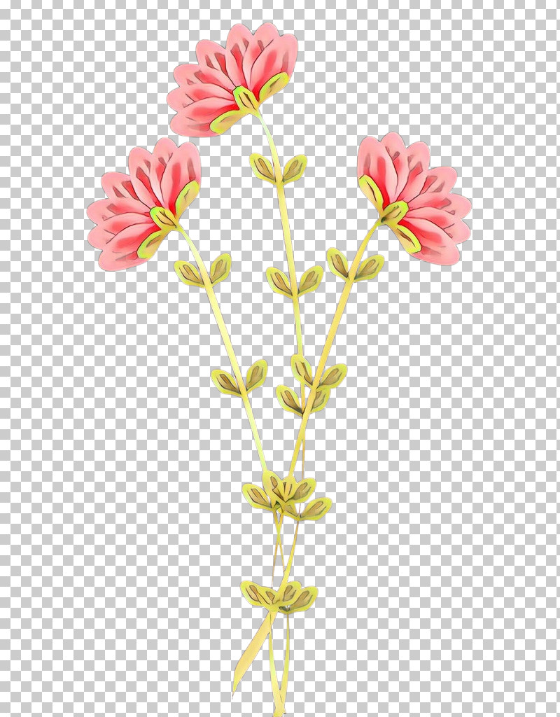Flower Cut Flowers Plant Pedicel Plant Stem PNG, Clipart, Cut Flowers, Flower, Geranium, Pedicel, Petal Free PNG Download