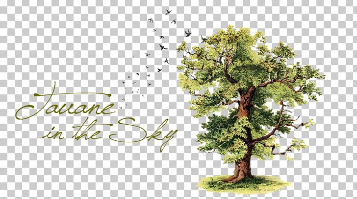 Free Family Tree Wallpaper, Family Tree Wallpaper Download - WallpaperUse -  1