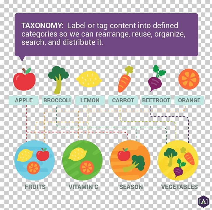 Taxonomy Ontology Organism Language PNG, Clipart, Circle, Language, Line, List Comprehension, Management Consulting Free PNG Download