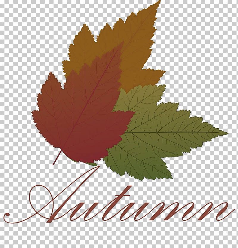 Hello Autumn Welcome Autumn Hello Fall PNG, Clipart, Cartoon, Drawing, Hello Autumn, Hello Fall, Leaf Free PNG Download