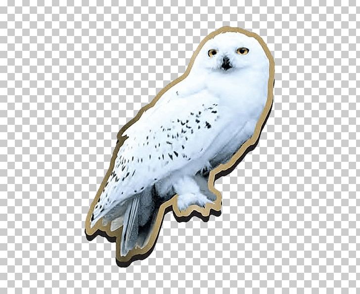 Garrï Potter Harry Potter And The Deathly Hallows Fictional Universe Of Harry Potter Hedwig Harry Potter (Literary Series) PNG, Clipart, Animal Figure, Badge, Beak, Bird, Bird Of Prey Free PNG Download