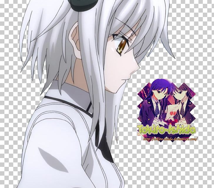 High School DxD Anime Information Drawing PNG, Clipart, Anime, Art, Black Hair, Cartoon, Character Free PNG Download