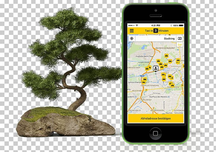 Logo Tree PNG, Clipart, App, Bonsai, Brand, Cedar, Creative Market Free PNG Download