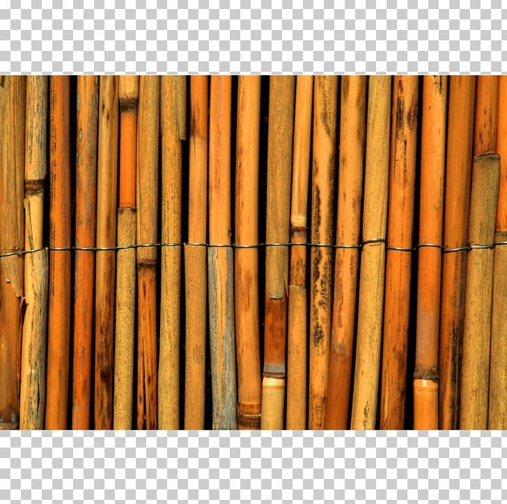 Tropical Woody Bamboos Paper Reed Fence Cane PNG, Clipart, Bamboo, Bauhaus, Cane, Curtain, Fence Free PNG Download