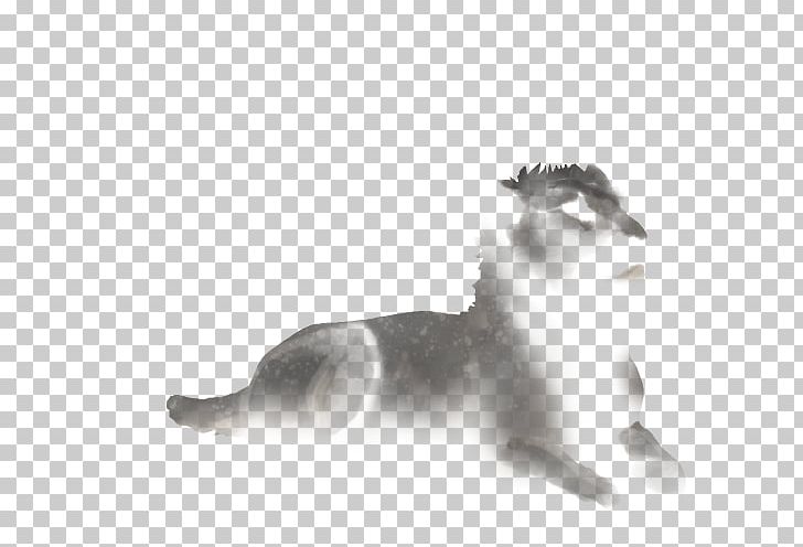 Whiskers Lion Felidae Dog Cat PNG, Clipart, Animals, Bastet, Black, Black And White, Carnivoran Free PNG Download