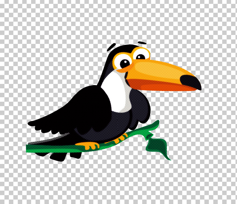 Bird Toucan Beak Cartoon Piciformes PNG, Clipart, Beak, Bird, Cartoon, Flightless Bird, Hornbill Free PNG Download