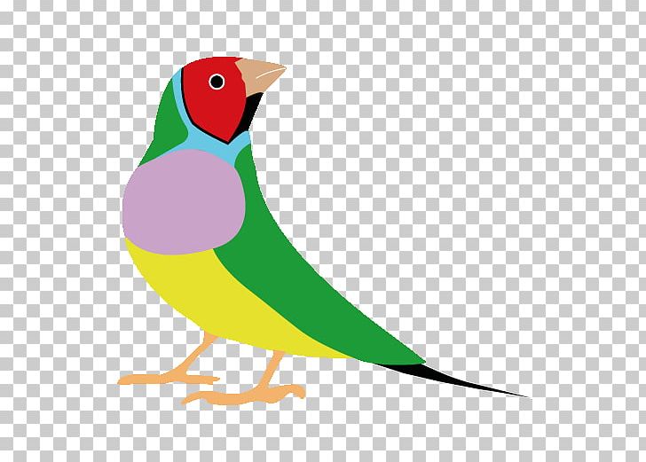 Beak Cartoon PNG, Clipart, Artwork, Beak, Bird, Cartoon, Fauna Free PNG Download