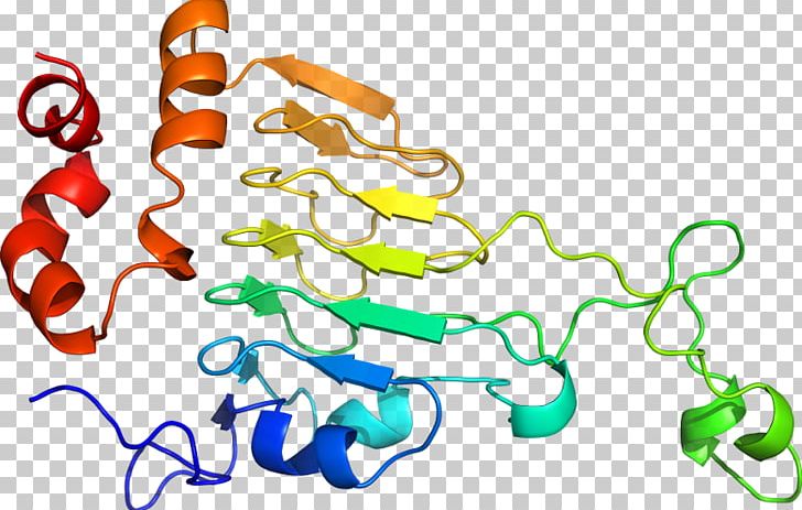 Line PNG, Clipart, Acetyltransferase, Area, Art, Artwork, Line Free PNG Download