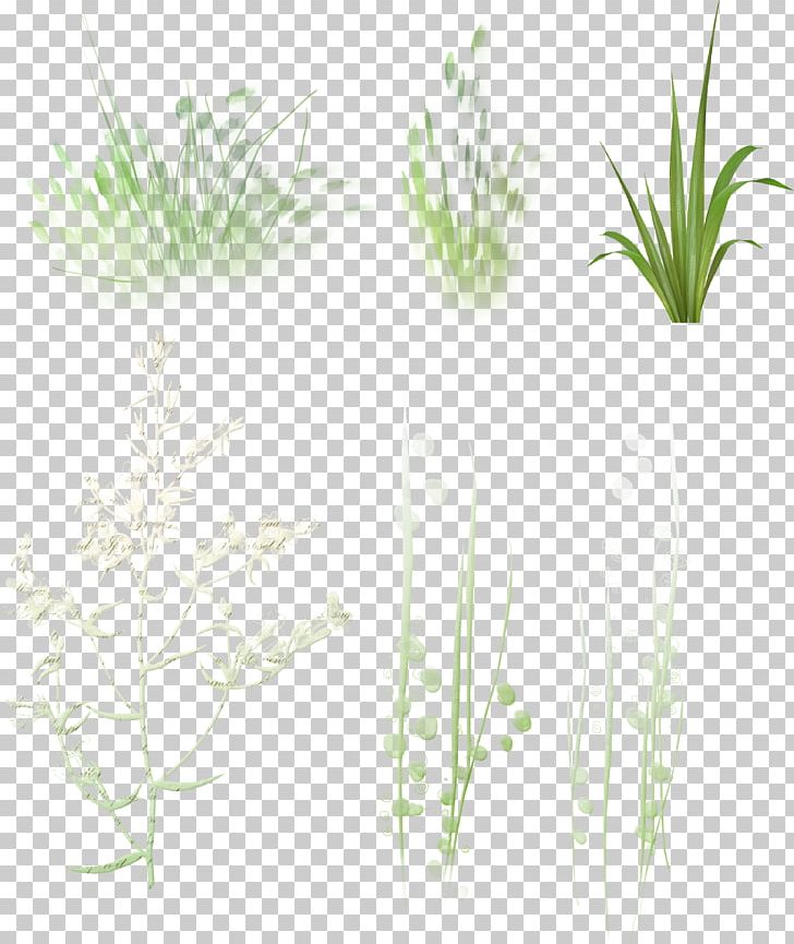 Portable Network Graphics Megabyte Plant Stem Herb PNG, Clipart, Aquarium Decor, Flora, Flowerpot, Grass, Grasses Free PNG Download