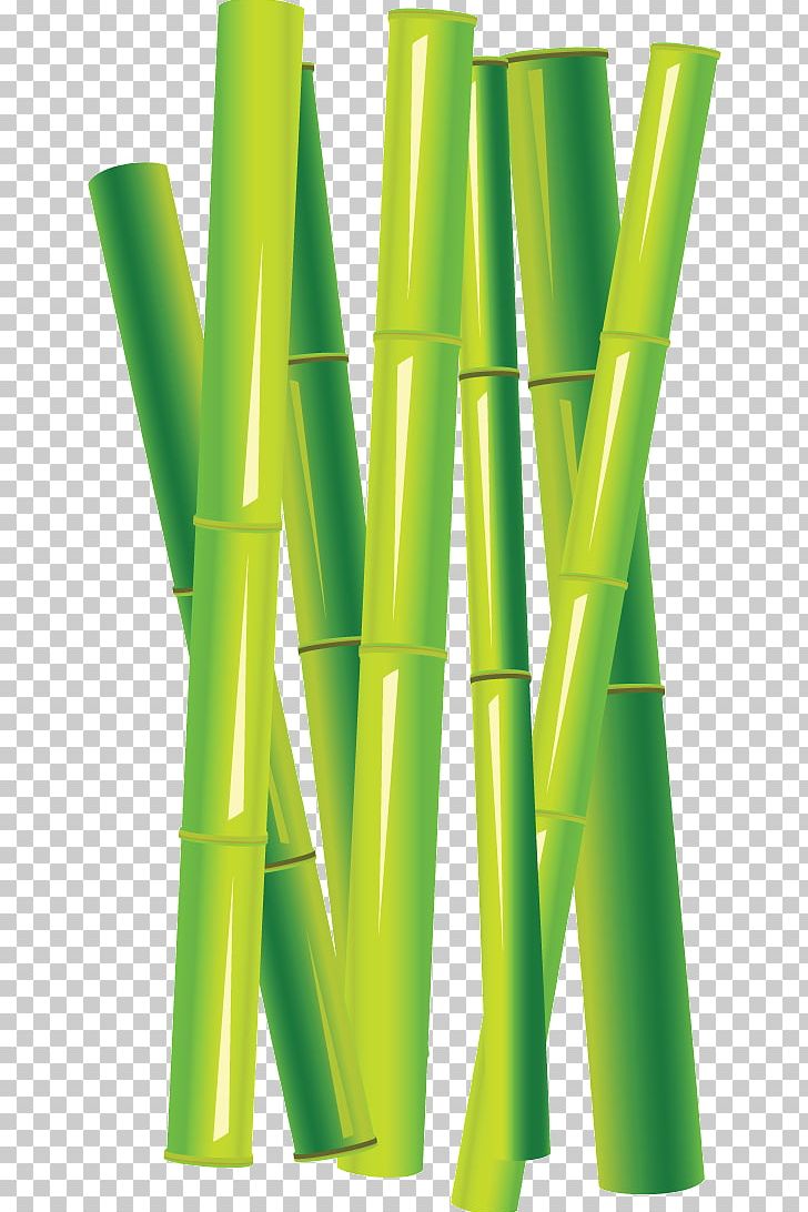 Tropical Woody Bamboos （株）丸山喜之助商店 PNG, Clipart, Bamboo, Grass, Green, Nature, Phyllostachys Free PNG Download