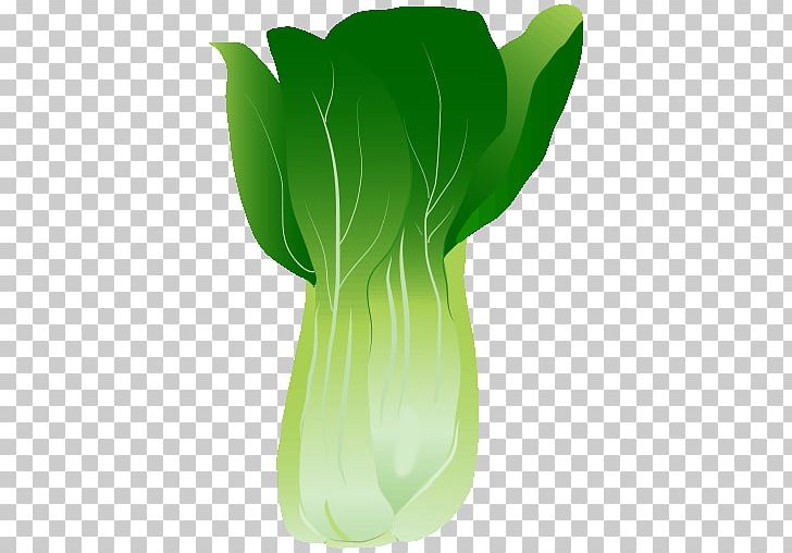 Vase Leaf Plant Stem PNG, Clipart, Arum, Flower, Flowerpot, Flowers, Green Free PNG Download