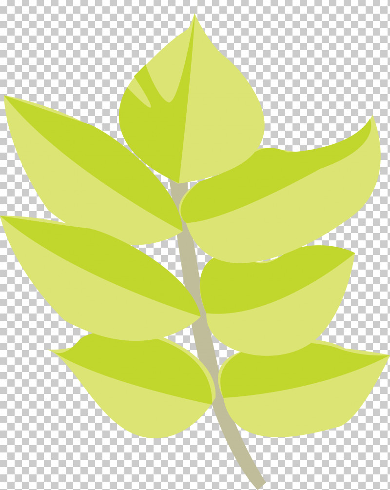 Leaf Green Plant Tree Flower PNG, Clipart, Flower, Green, Leaf, Logo, Plant Free PNG Download