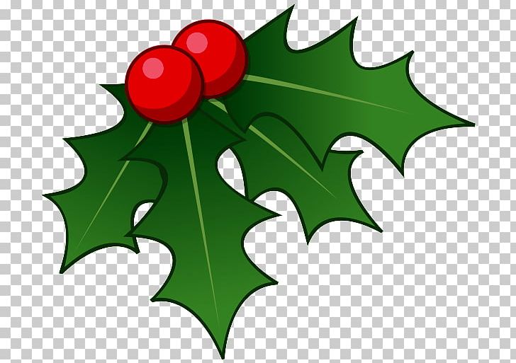 Common Holly Christmas Png Clipart Aquifoliaceae Aquifoliales Artwork Branch Cartoon Free Png Download