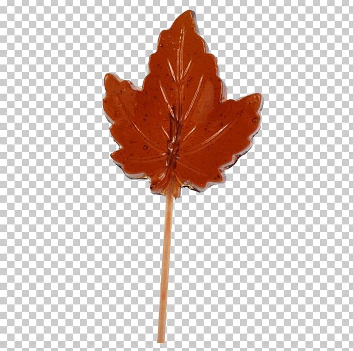 Lollipop Maple Leaf Maple Syrup Maple Sugar PNG, Clipart, Article, Candy, Flower, Hickey, Leaf Free PNG Download