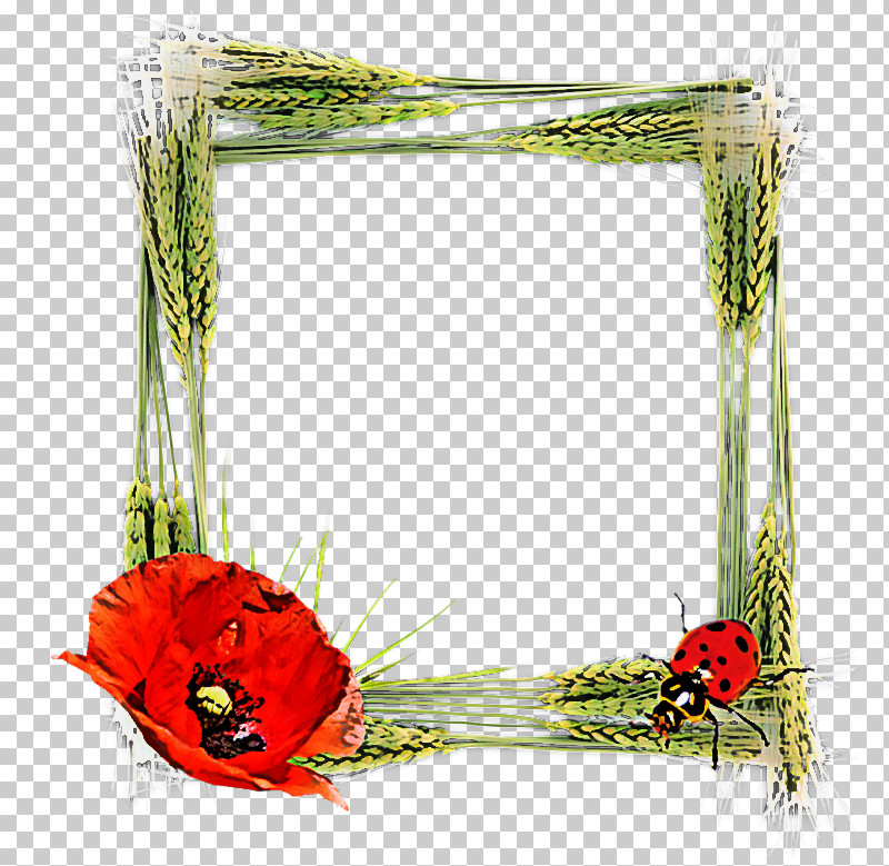 Picture Frame PNG, Clipart, Floral Design, Flower, Interior Design, Picture Frame, Plant Free PNG Download